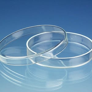 Caja de Petri de vidrio 100×20 mm Origen China