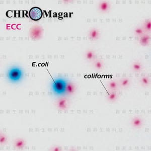 CHROMagar ECC – Para la detección y enumeración de E.coli y Coliformes en 24 hs. Presentación: 1 para 5.000 ml.